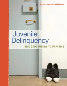 USED-Juvenile Delinquency: Bridging Theory to Practice by McNamara, Robert H. (Paperback)