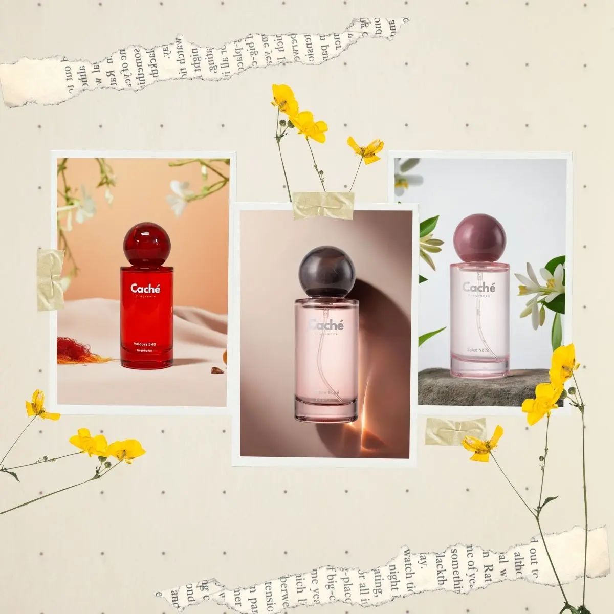 Caché Fragrance | Velours 540 + Épice Noire + Ambre Boisé | Saffron Ember Trio | Eau De Parfum (3 x 1.7oz / 50ml)