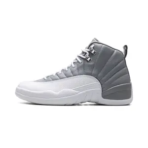 Air Jordan 12 "Stealth" CT8013 015