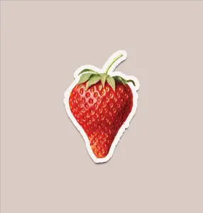Strawberry Home Decor Tattoos