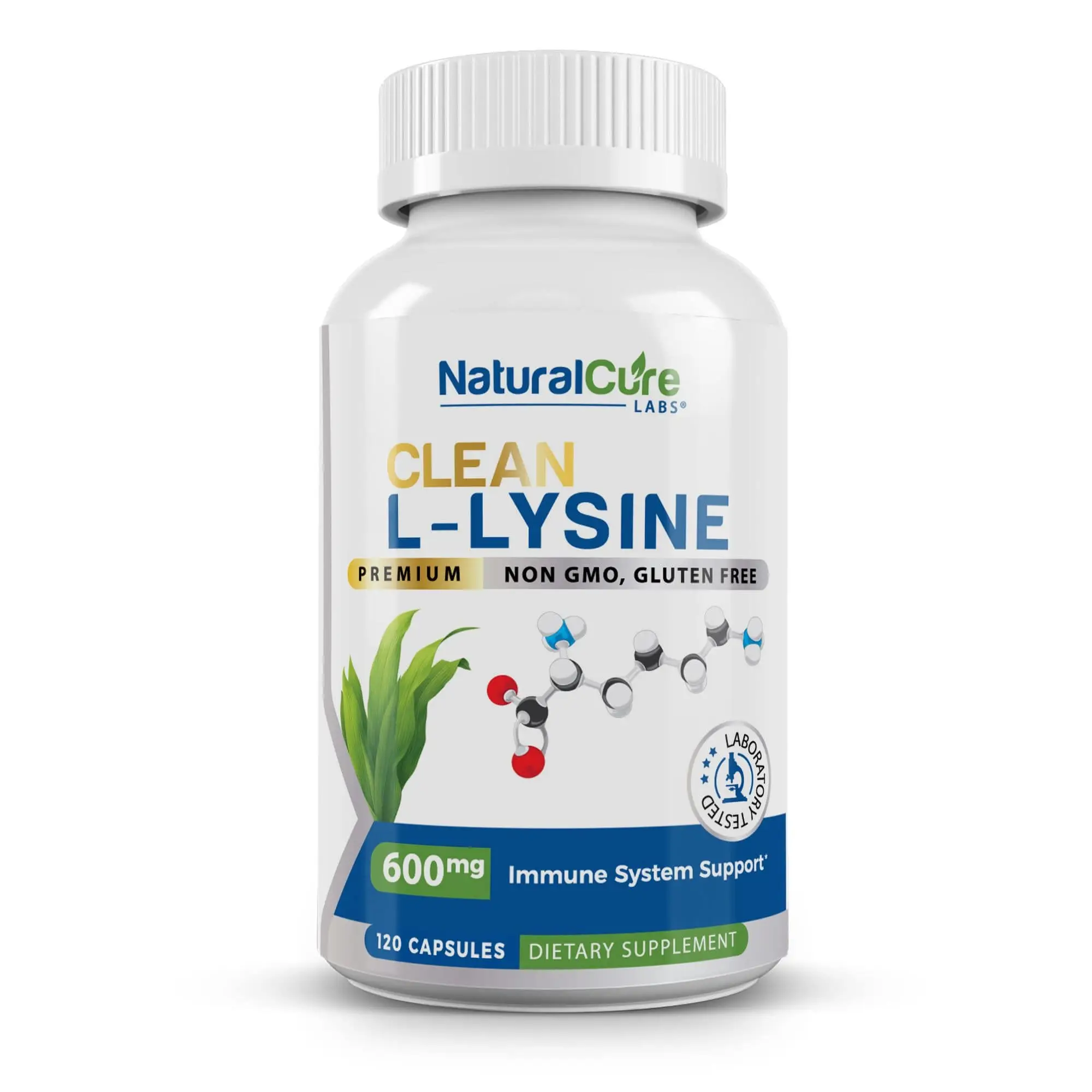 Clean L-Lysine 600mg – Supports Immune Function, Muscle Health & Recovery - 120 Capsules