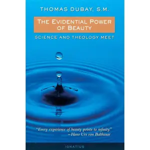 The Evidential Power of Beauty: Science and Theology Meet Paperback – September 22, 1999
