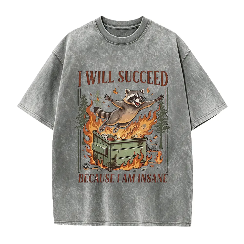 I Will Succeed Because I Am Insane Shirt, Funny Raccoon Tee, Chaotic Motivation Shirt, Trash Panda Meme Shirt, Vintage Graphic Tee