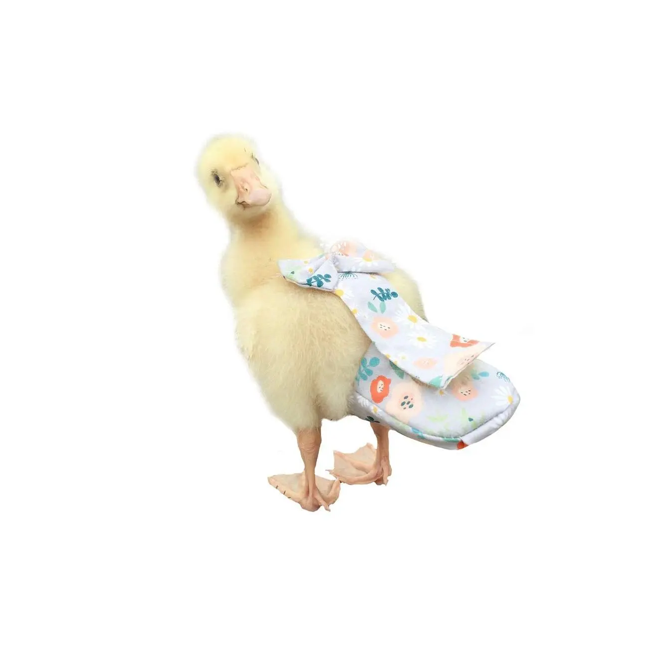 Duck Diapers  Chicken Special For Poultry And Goose Waterproof Adjustable Washable Reusable Diapers,poultry Supplies (s:100ke-200ke)