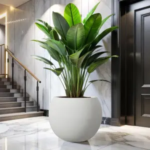 Modern Round Indoor Planters with Drainage Hole - White MgO Flower Pots, Large Size for Porch, Balcony & Indoor Areas