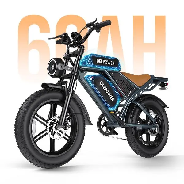 60AH Dual battery
