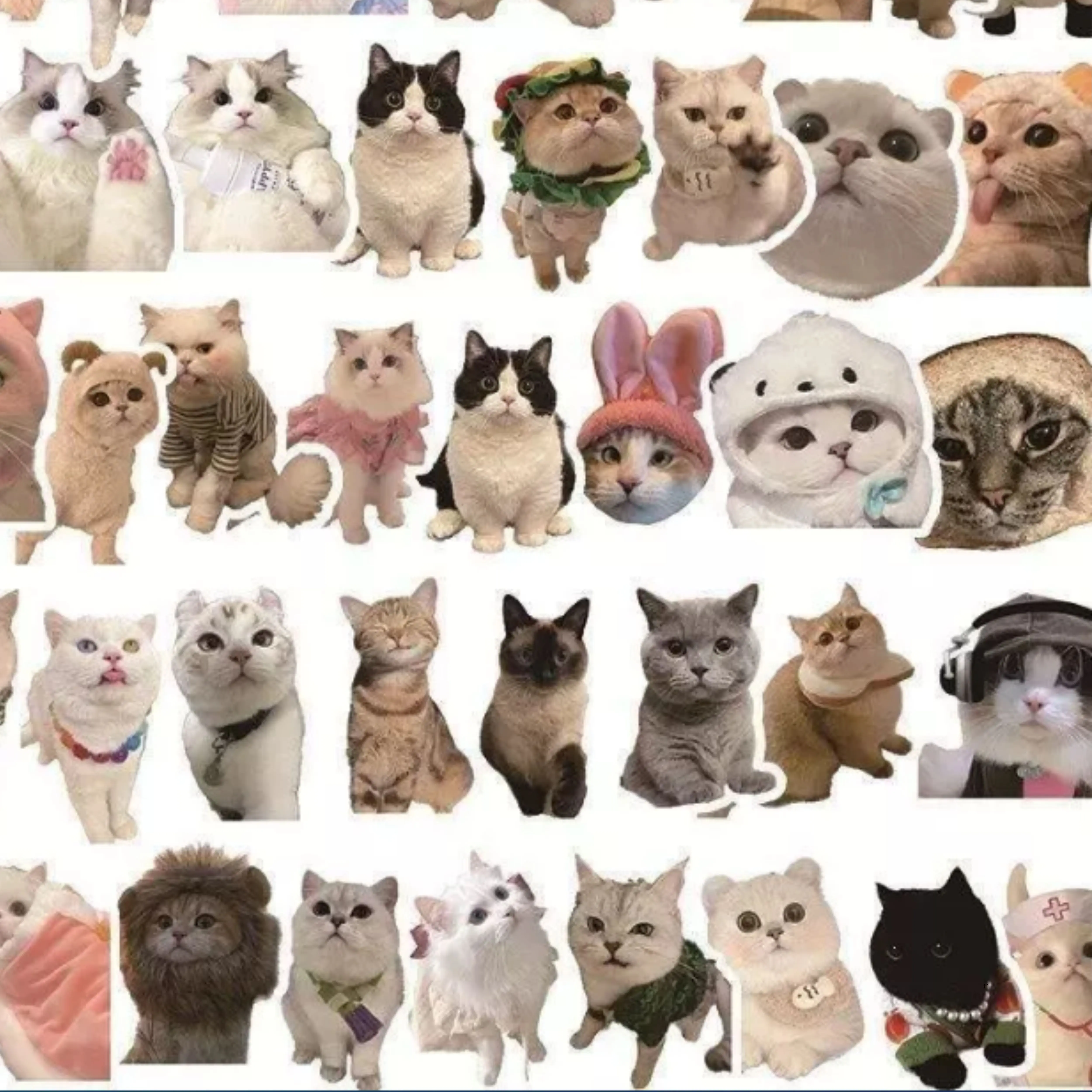 [5pcs Random Stickers] Cat & Dog Cartoon Pack