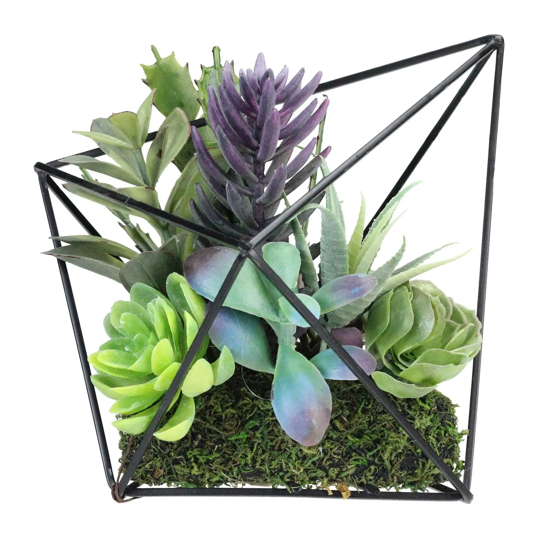 Northlight 6.75" Artificial Succulents in Diamond Metal Wire