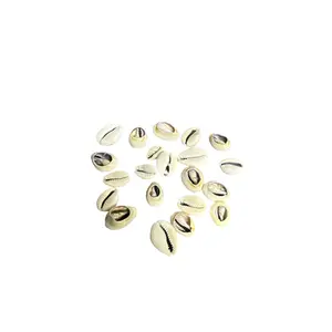 Open Snails (Caracol abierto)