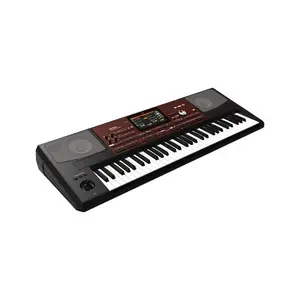 Korg Pa700 61-Key Arranger Workstation, Professional Electronic Organ for Musical Performance