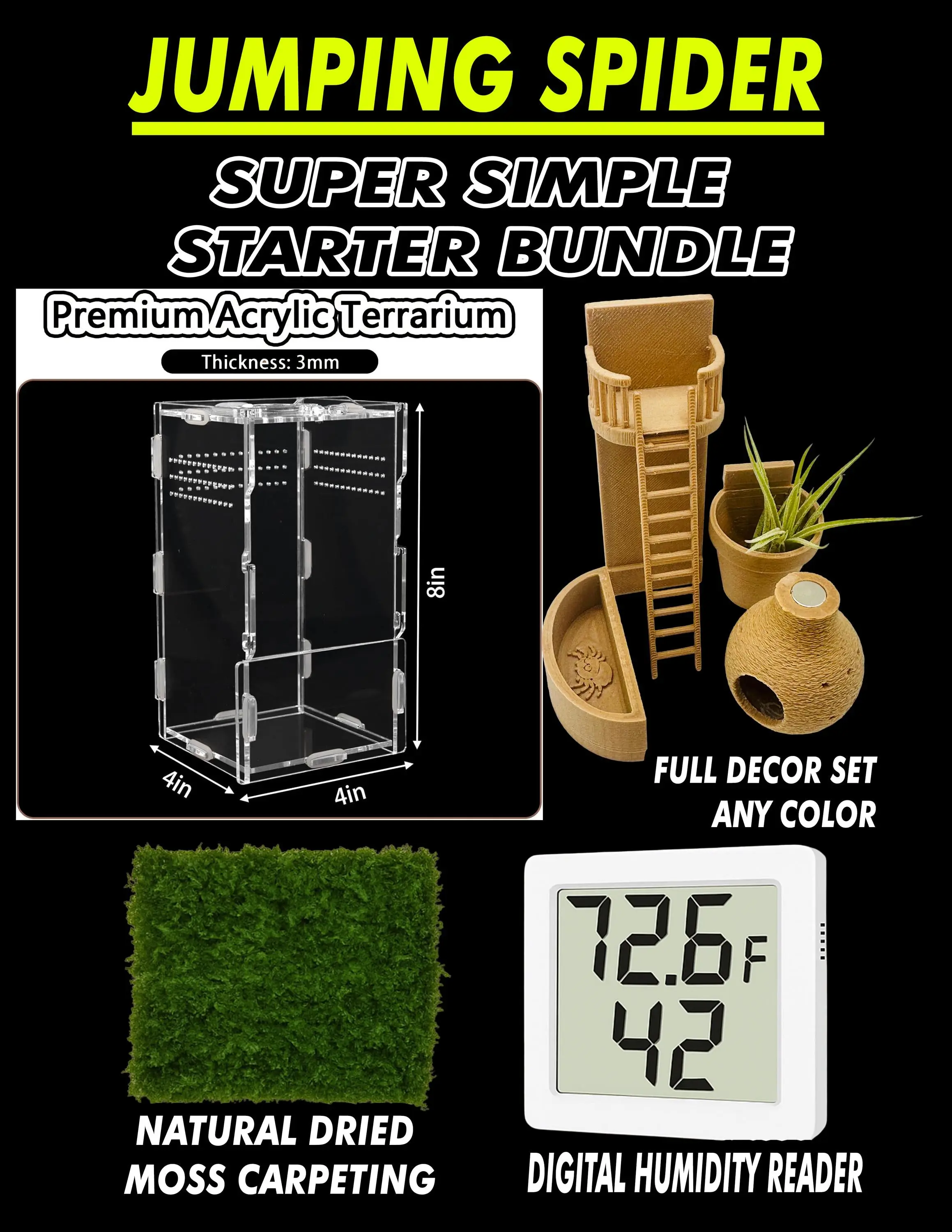 SIMPLE Starter Bundle | Jumping Spiders & Other Tiny Pets| Super Low Maintenance | Free Random Gift included with every order!