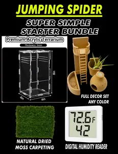 SIMPLE Starter Bundle | Jumping Spiders & Other Tiny Pets| Super Low Maintenance | Free Random Gift included with every order!