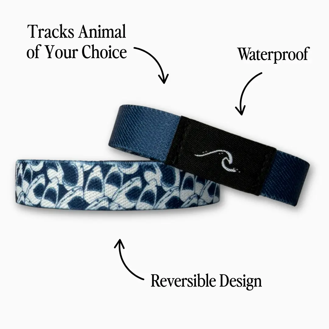 Ocean Animal Tracking Bracelet - Tap to Track YOUR Animal, Waterproof, and Reversible Design