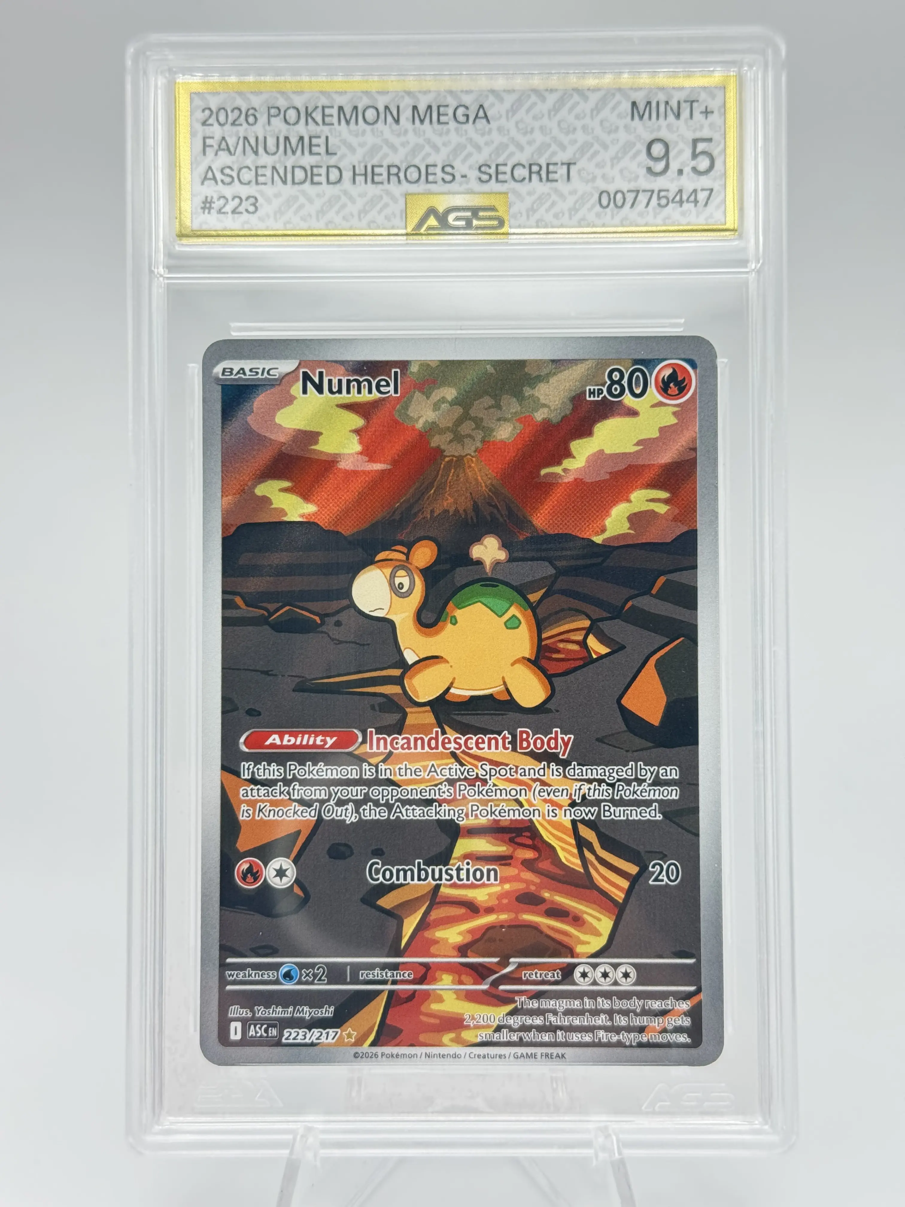 Graded AGS 9.5 Numel  2026 Ascended Heroes 223 Holographic Pokemon Card