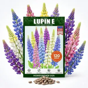Lupine Russell Strain Mixture Nice Garden Flower  Bulk 120pcs Seeds Self-Sowing, Cold Hardy & Frost Tolerant Wildflower Seeds for Fall Planting, Ideal for Attracting Pollinators & Hummingbirds