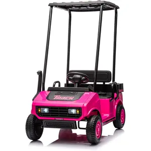 Kartivo 24V Ride-On Golf Car with Remote Control, Electric Vehicle for Ages 3+, Ceiling, Music, Rear Lockers, Slow Start, Shift Switch, 18.5" Large Seat,Birthday/Christmas Gift