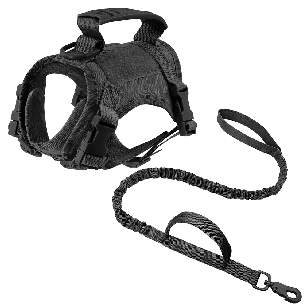 Black Harness and Leash