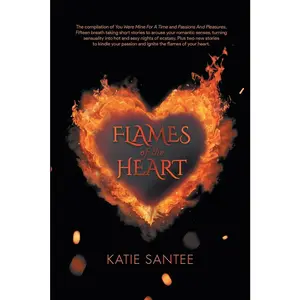 USED-Flames of the Heart by Katie Santee (Paperback)