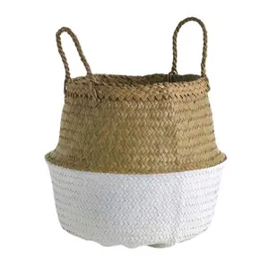 Dayton Basket