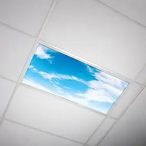 Fluorescent Light Cover - Cloud 010
