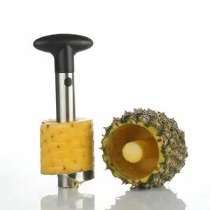 Stainless Steel Pineapple Corer Slicer Peeler for Diced Fruit Rings All in One Blade Kitchen
