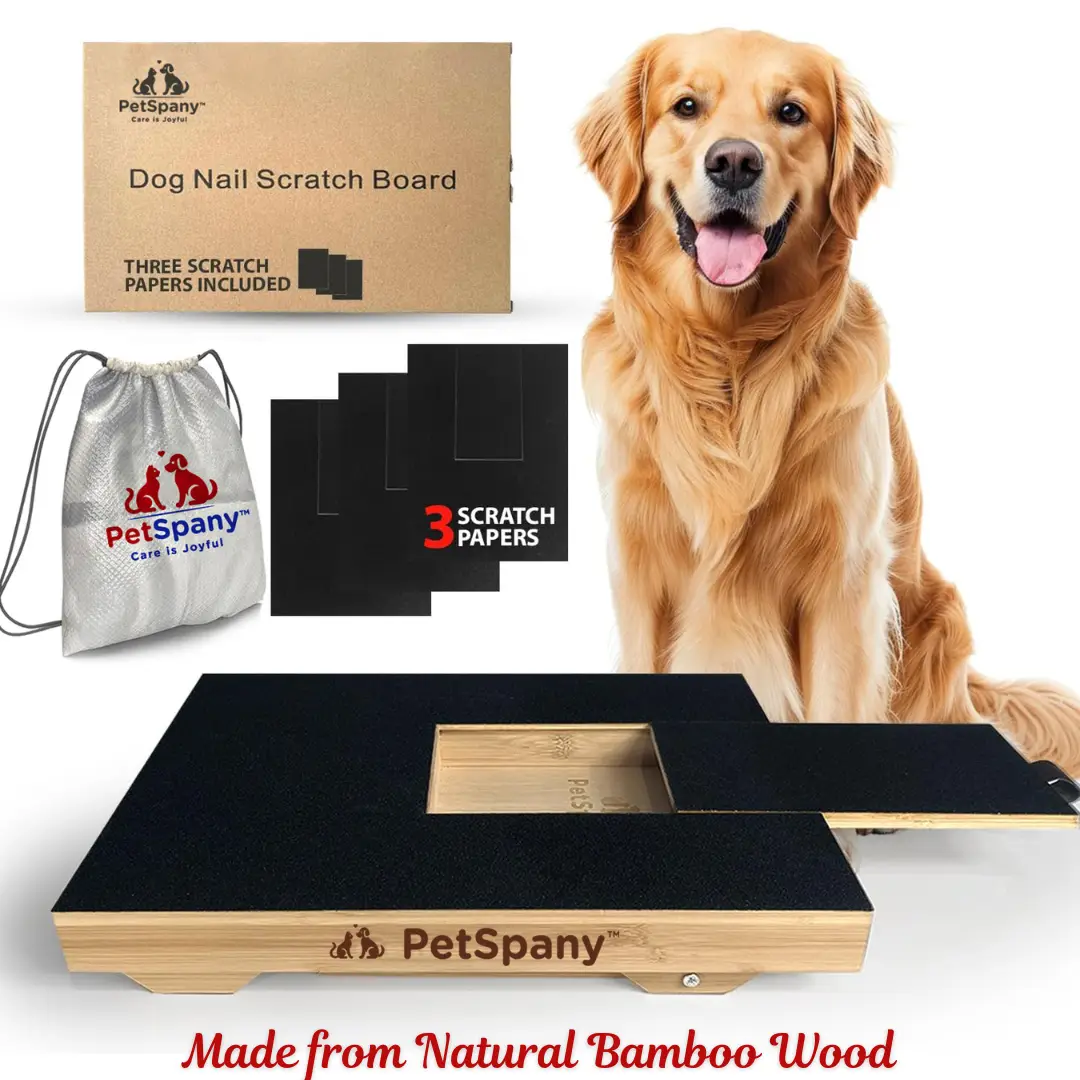 PetSpany Dog Nail Scratch Board 14.55x10.39 inch (37x26.4 cm) - Bamboo Wood Scratch Pad with Treat Box - Stress-Free Dog Scratch Pad for Nails - Scrat