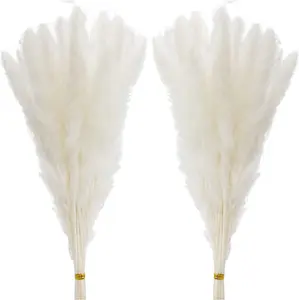 60 Pcs White Pampas Grass ,17 inch/45 cm Natural Dried Pampas Grass Branches Decor for Home Kitchen Garden Party Photographing Flower Arrangement Vase Decor