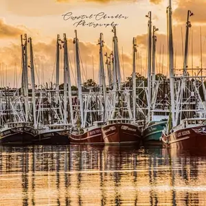 Digital Image Download