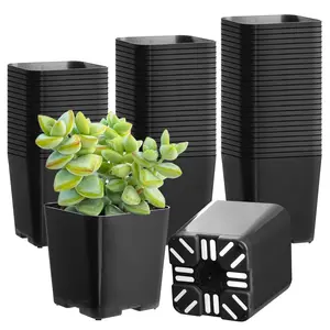 70-700pcs 2in Nursery Planter Square Black Seedling Pots Seed Starter with Drainage Holes for Indoor Outdoor Garden Succulent Plants Cuttings