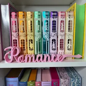 3D Romance Shelf Sign in Pale Pink for Bookshelf Desk Decor Office