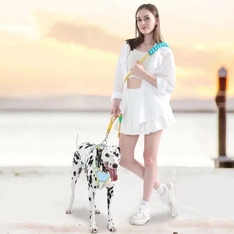 Universal Pet Traction Lead with Comfortable Foam Handle, Ergonomic Design for Daily Walks, Outdoor Training, Hiking