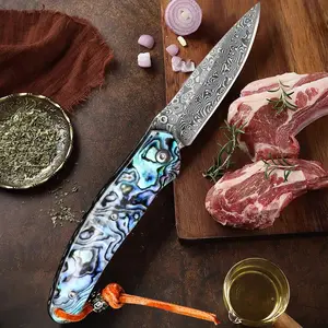 Hand forged Damascus steel chef's knife, barbecue knife, suitable for outdoor cooking, kitchen deboning or camping barbecue, a gift for men
