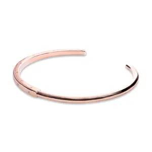 Pandora Signature ID Bangle 589493C00-1