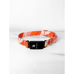 shooting star Fi compatible collar