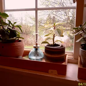 review image 6