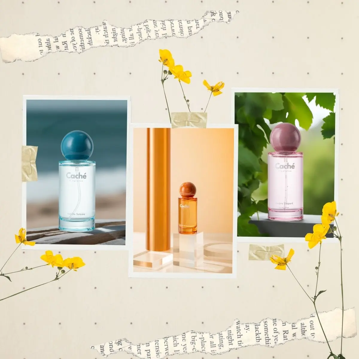 Caché Fragrance | Vanille Solaire + Jasmin de Minuit + Ombre Élégant | Vanilla Jasmine Glow | Eau De Parfum (3 x 1.7oz / 50ml)