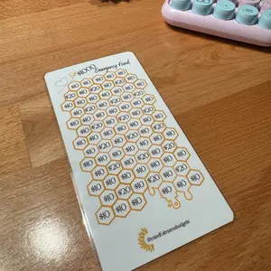 $1,000 Emergency Fund Savings Challenge Tracker