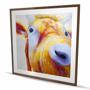 Begin Home Decor C1FM48482Z91YH 48 x 48 in. Closeup of Colorful Country Cow Framed Print Wall Art - Home Decor