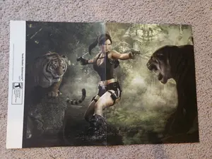 Suikoden: Tierkreis/Tomb Raider Underworld 15.5''x11.5'' Double Sided Poster