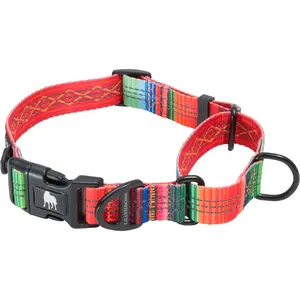 Martingale Dog Collar