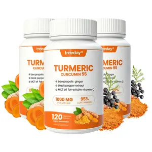 Treeday  High-Potency Turmeric | 95% Curcuminoids 1000mg 120 Count