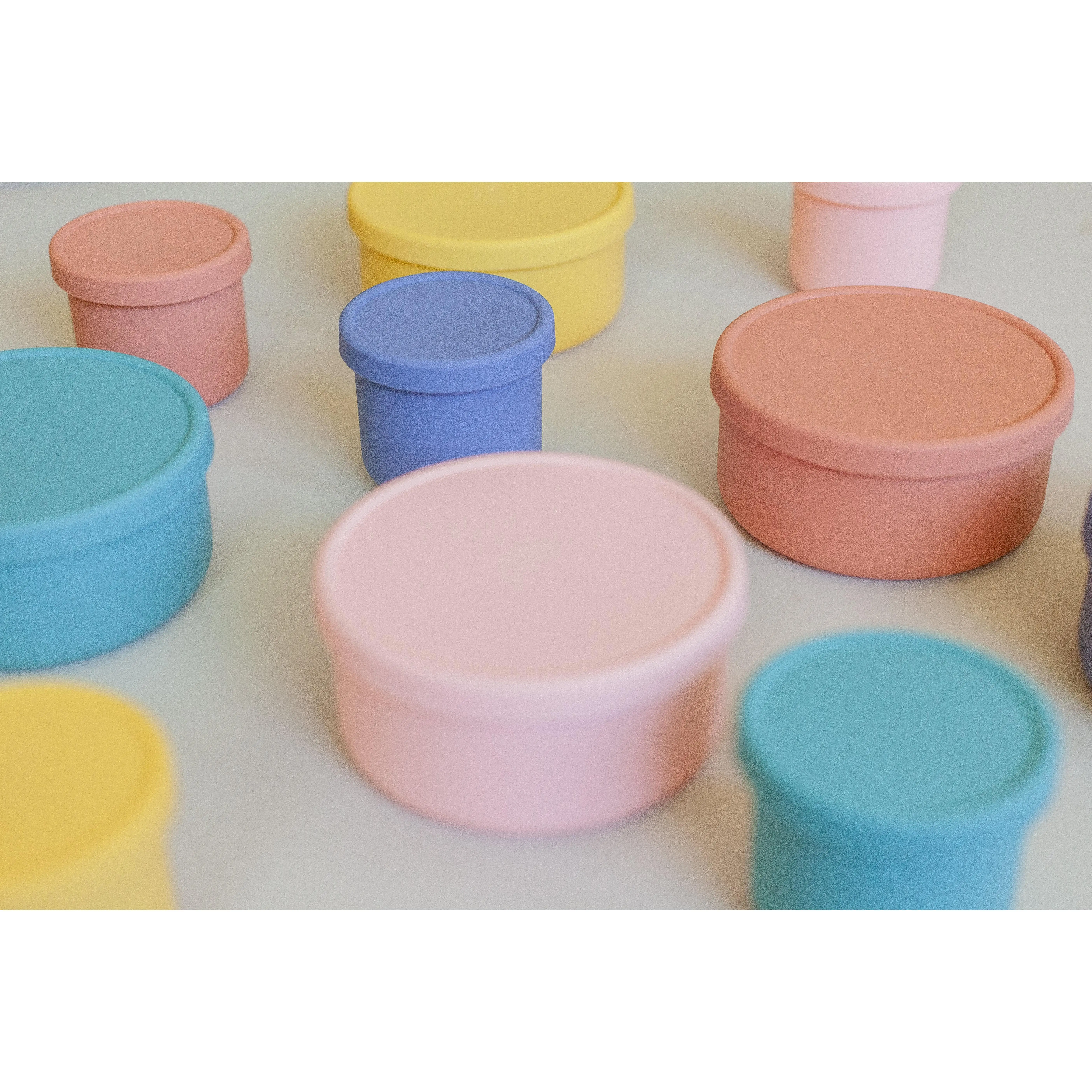 Silicone Bowls with Lids (2 piece set)