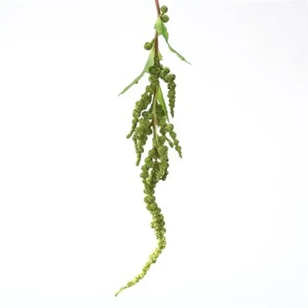 212 MAIN Decorative Dark Green Synthetic Hanging Amaranthus Spray - 34 in. L DIY Artificial Plants (12-Pack Case, 96 Leaves, Close-to-Nature Natural Shades for Home Decor)
