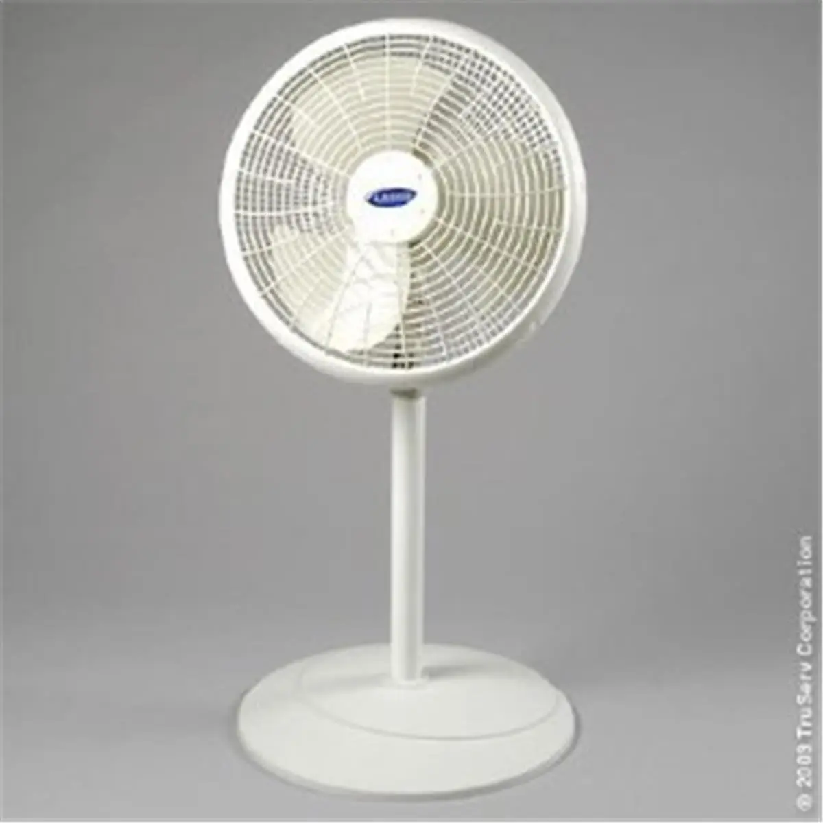 212 MAIN 16-Inch Adjustable Oscillating Floor-Standing Cooling Pedestal Fan, ETL Listed Variable-Speed Household Home Appliance, Oscillation, Cooling Pedestal Fans