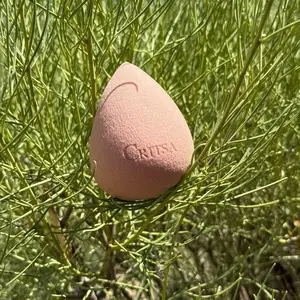 Critsa Beauty Sponge - Pink Cosmetic Tool for Your Needs