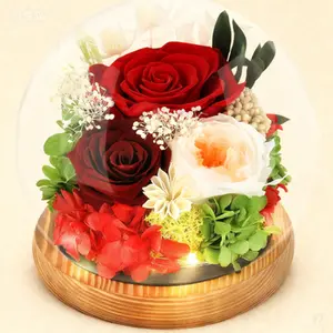 LED Illuminated Eternal Rose in Glass Dome, Preserved Real Flower Gift with Light, Long Lasting Floral Arrangement for Women, Anniversary Birthday Christmas Present, Reusable Decorative Display
