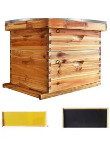 10-Frame Complete Bee Hives And Supplies Starter Kit Dipped In 100% Beeswax, Includes 1 Deep Hive Bee Box And 1 Bee Hive Super With Beehive Frames And Foundation For Beginner Beekeepers
