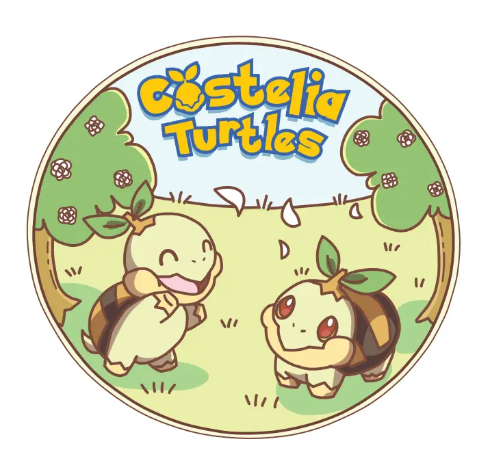 CosteliaTurtleTCG