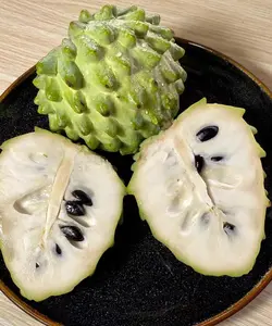 Organic Soursop (Graviola) Seeds – 30pcs Non-GMO Heirloom Tropical Fruit seeds