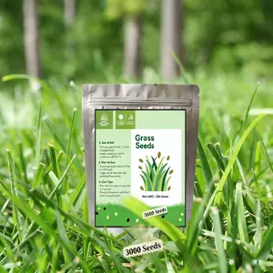 3000+ Pcs Grass Seeds for Thick and Green Lawn Coverage